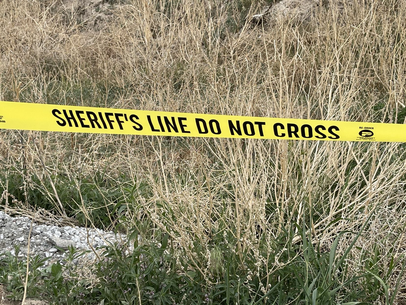 Dead body found